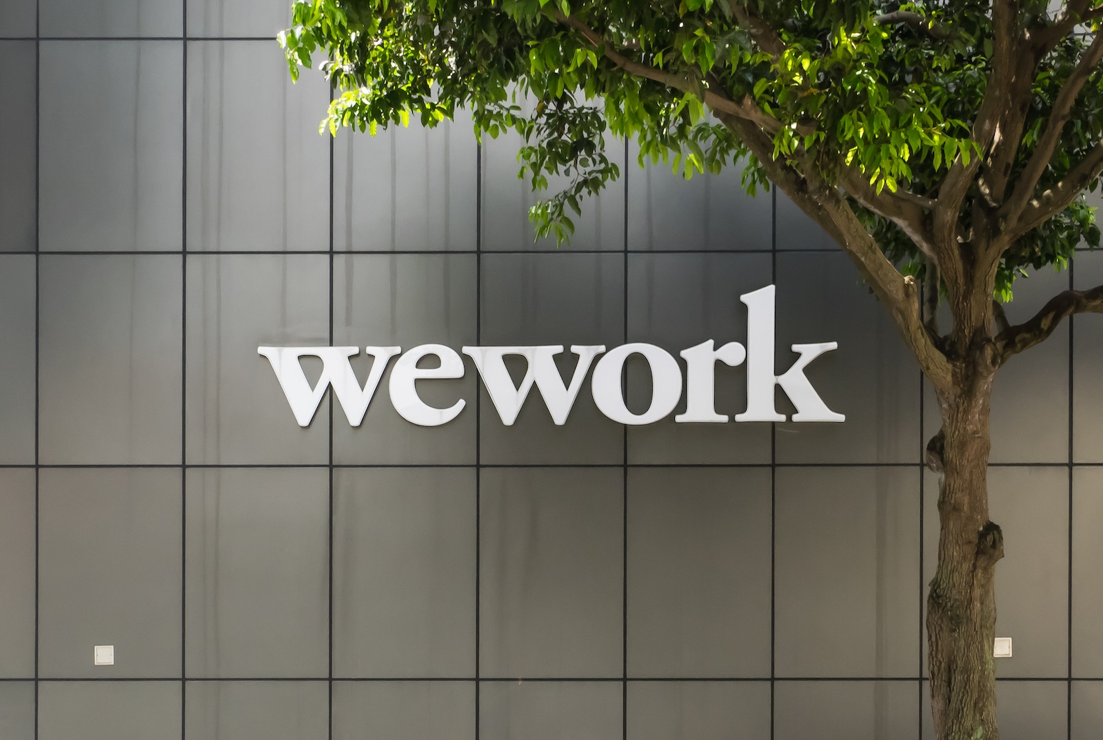 Компания wework. WEWORK logo. WEWORK офисы. WEWORK IPO.