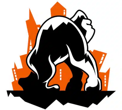 Video Surveillance Gorilla Technologies