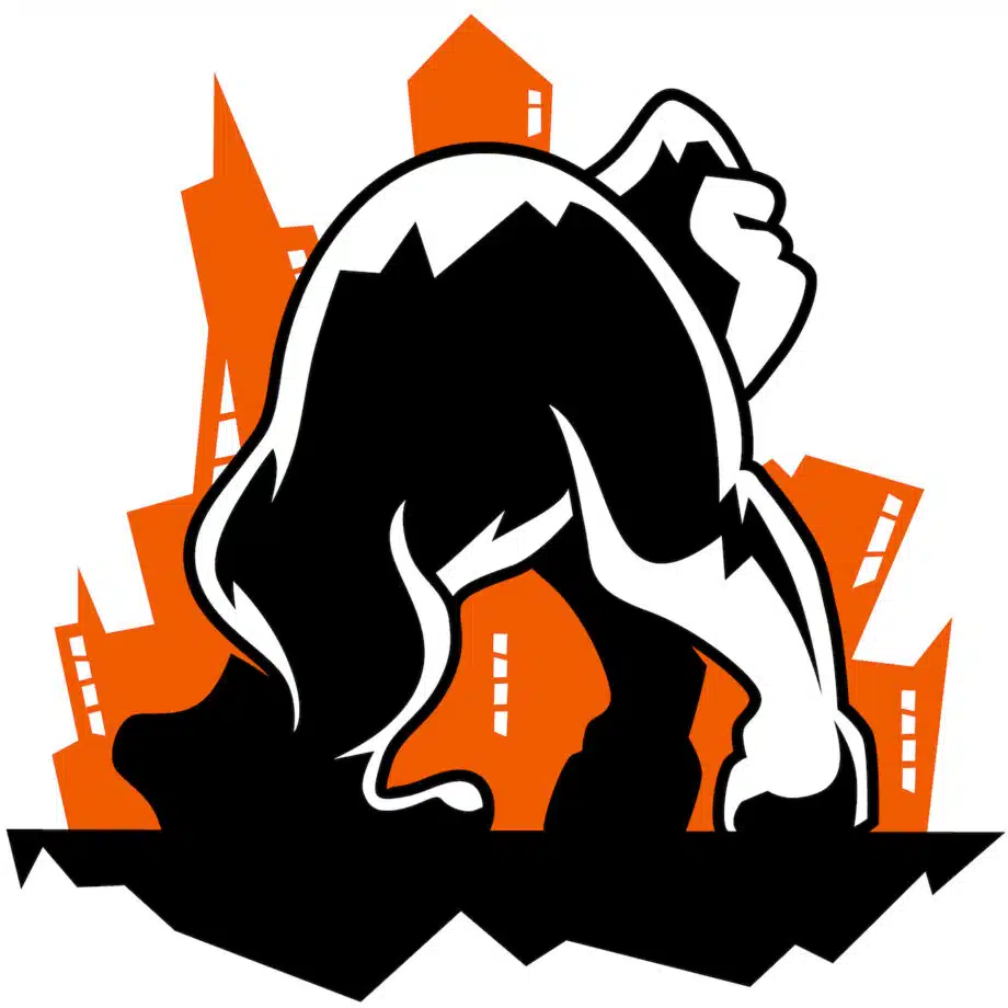 Video Surveillance Gorilla Technologies