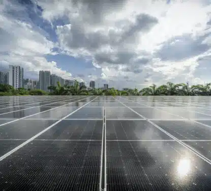 Net Zero Buildings DBSNewtonGreen