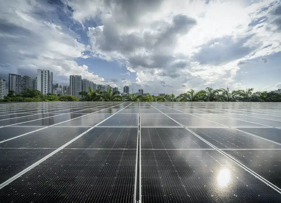 Net Zero Buildings DBSNewtonGreen